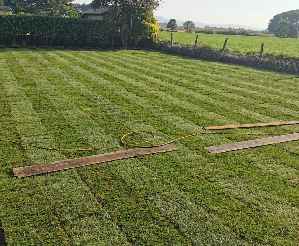 Turfing or laying a lawn